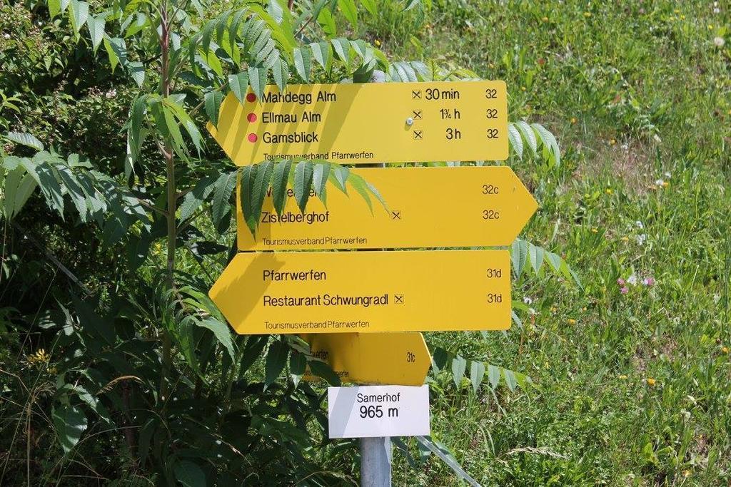 Ferienhotel Samerhof Pfarrwerfen Ngoại thất bức ảnh