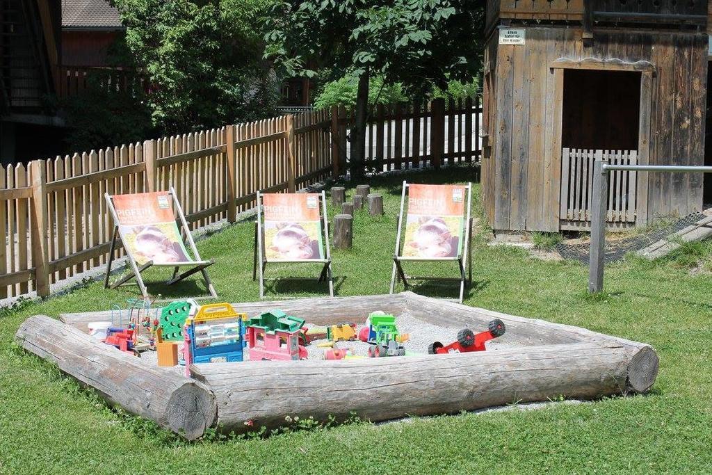 Ferienhotel Samerhof Pfarrwerfen Ngoại thất bức ảnh